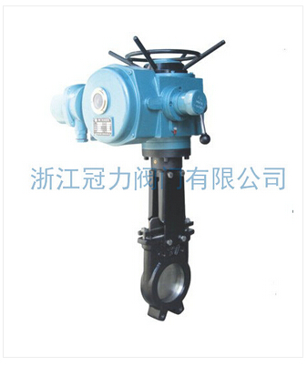 涉及范圍廣泛的電動(dòng)刀閘閥有何特點(diǎn)？