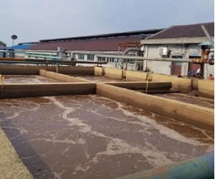 出水氨氮大于進水氨氮，怎么回事？