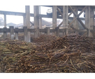 廣西來(lái)賓某堿氯法甘蔗渣制漿廠除COD、脫色案例分享