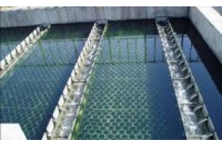 【干貨】生物濾池為什么一受沖擊氨氮去除率就會(huì)下降？